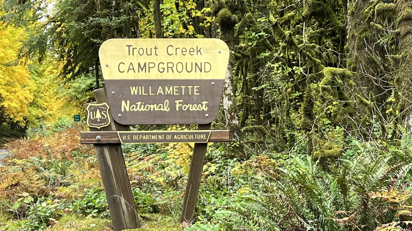 Trout Creek Campground - Willamette (OR) photo