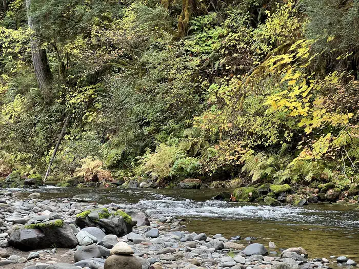 Trout Creek Campground - Willamette (OR) photo 2