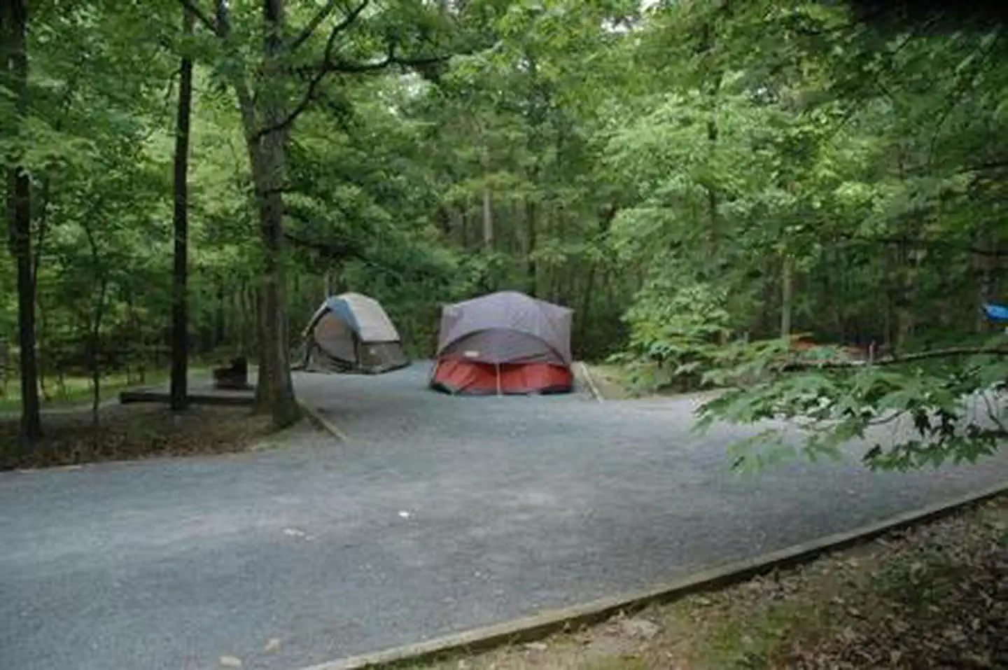 Trout Pond Recreation Area photo 3