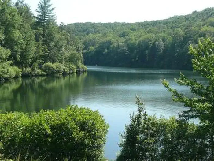Trout Pond Recreation Area photo 4