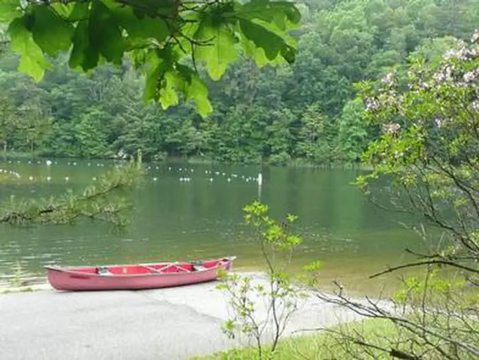 Trout Pond Recreation Area photo 5