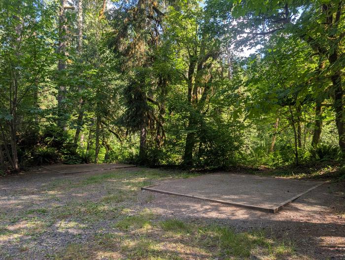 Tulalip Group Camp photo 3