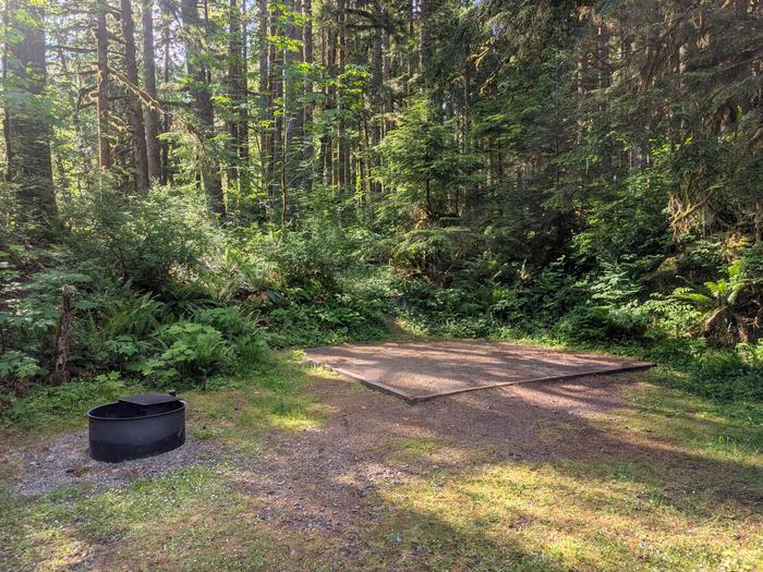 Tulalip Group Camp photo 4