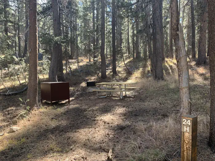 Tuolumne Meadows Campground photo 5