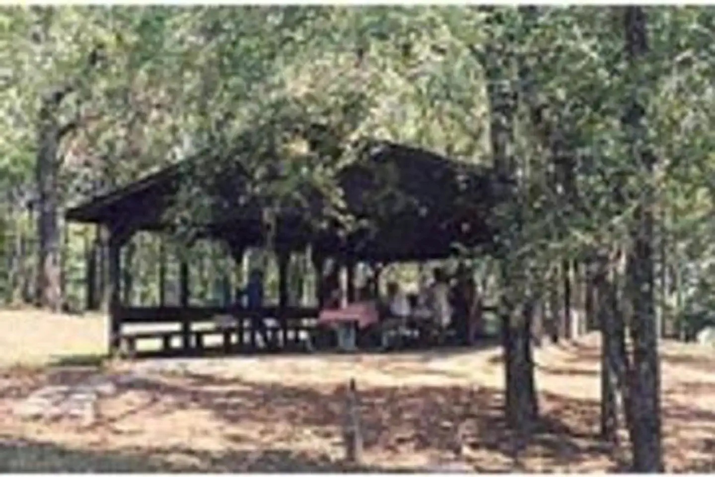 TURKEY CREEK photo 3