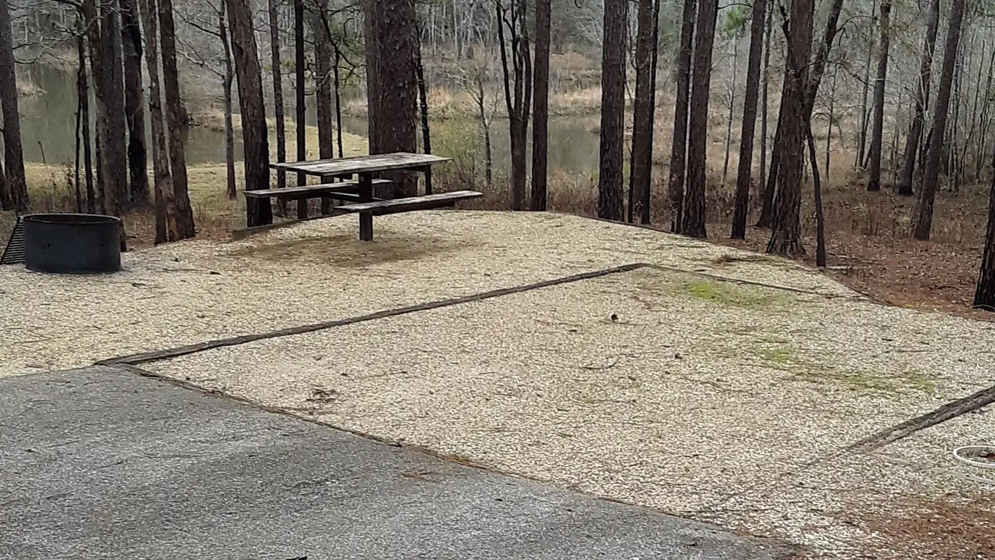 Turkey Fork Recreation Area photo