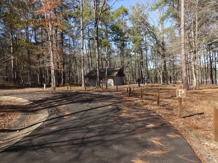 Turkey Fork Recreation Area photo 2