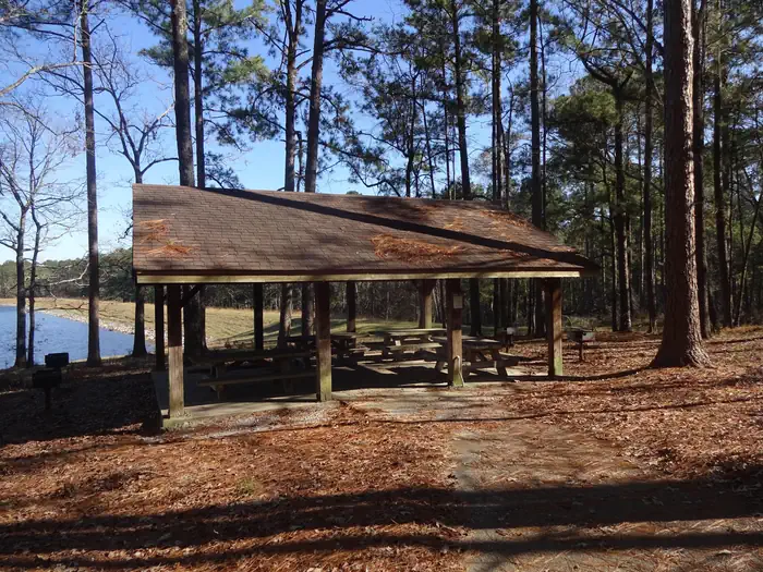 Turkey Fork Recreation Area photo 3
