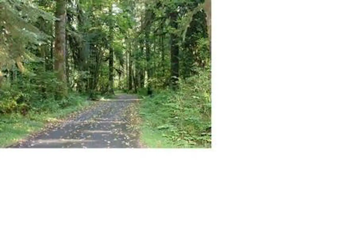 Turlo Campground photo 2