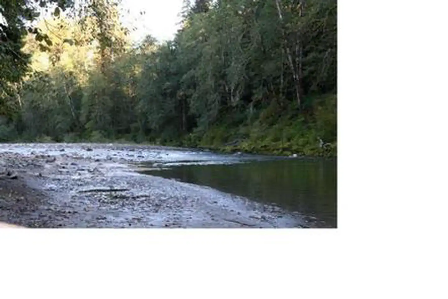 Turlo Campground photo 3