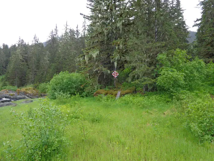 TURNER LAKE WEST CABIN photo 3