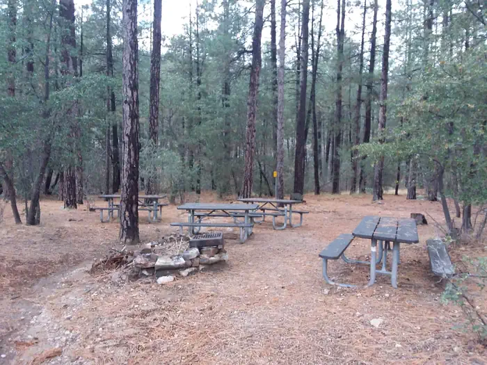 TURNEY GULCH GROUP photo 5