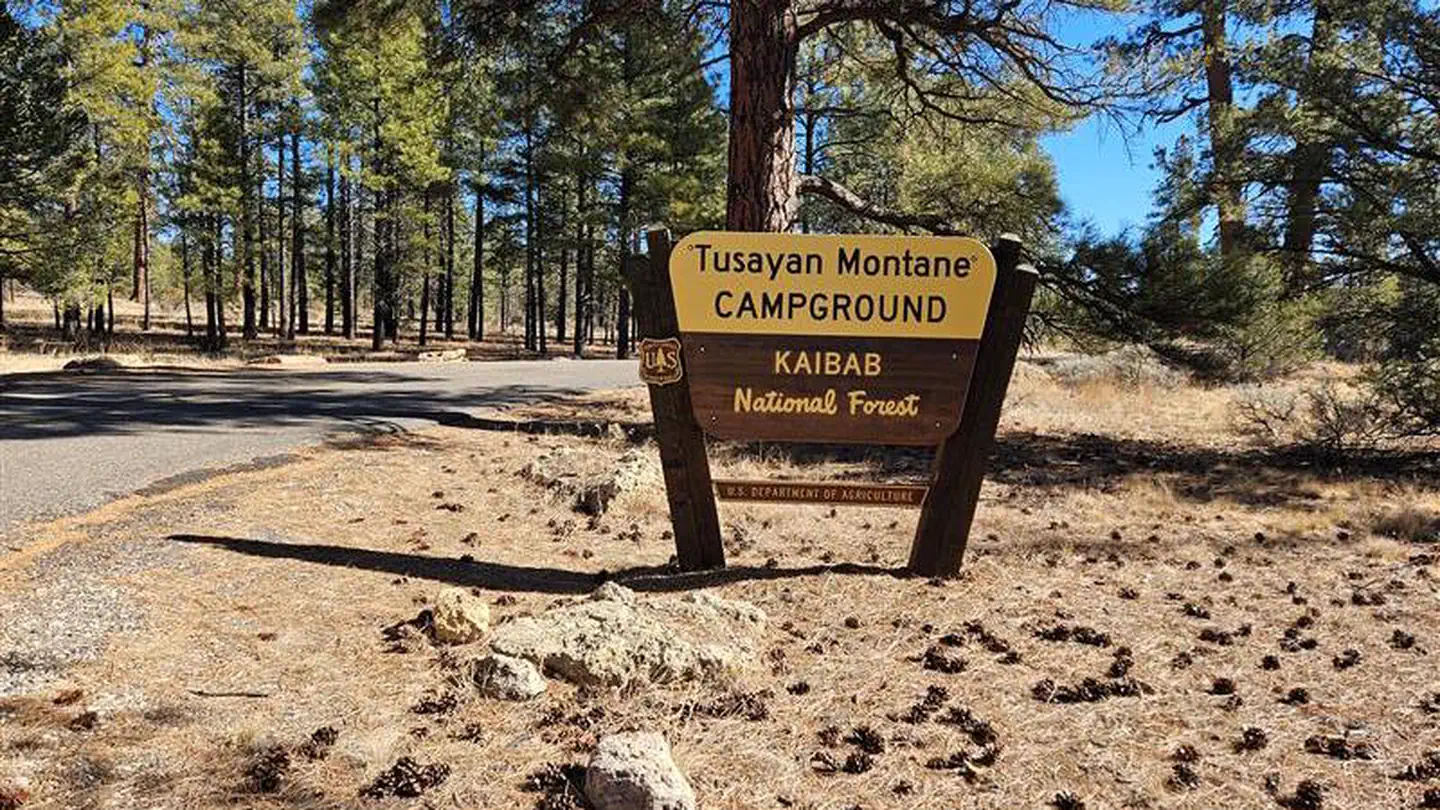 Tusayan - Montane photo
