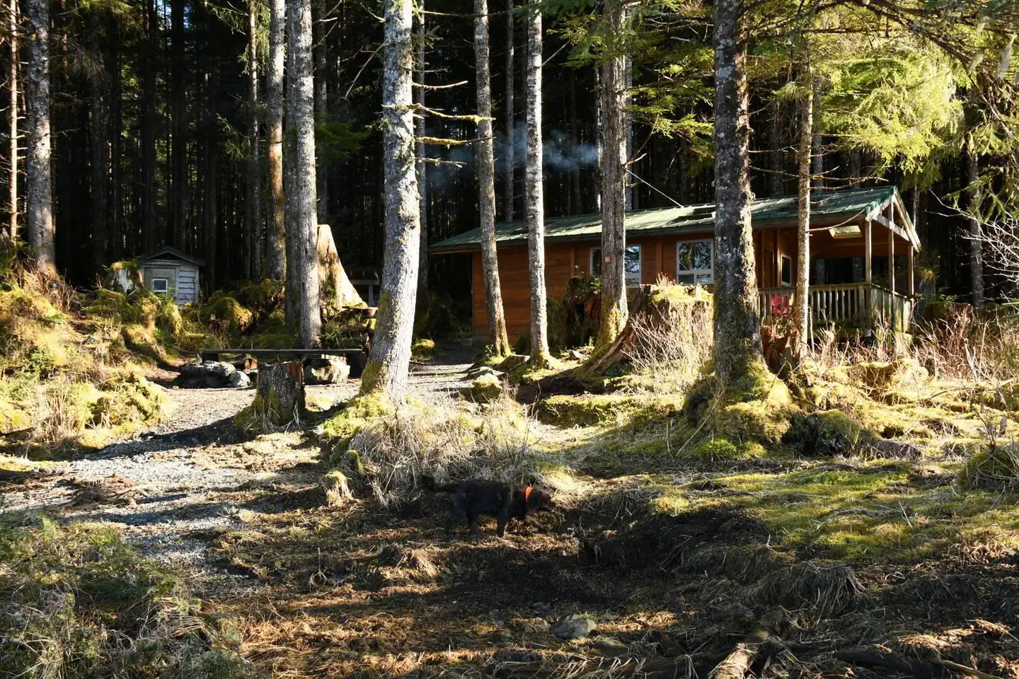 TWELVEMILE CABIN photo 3