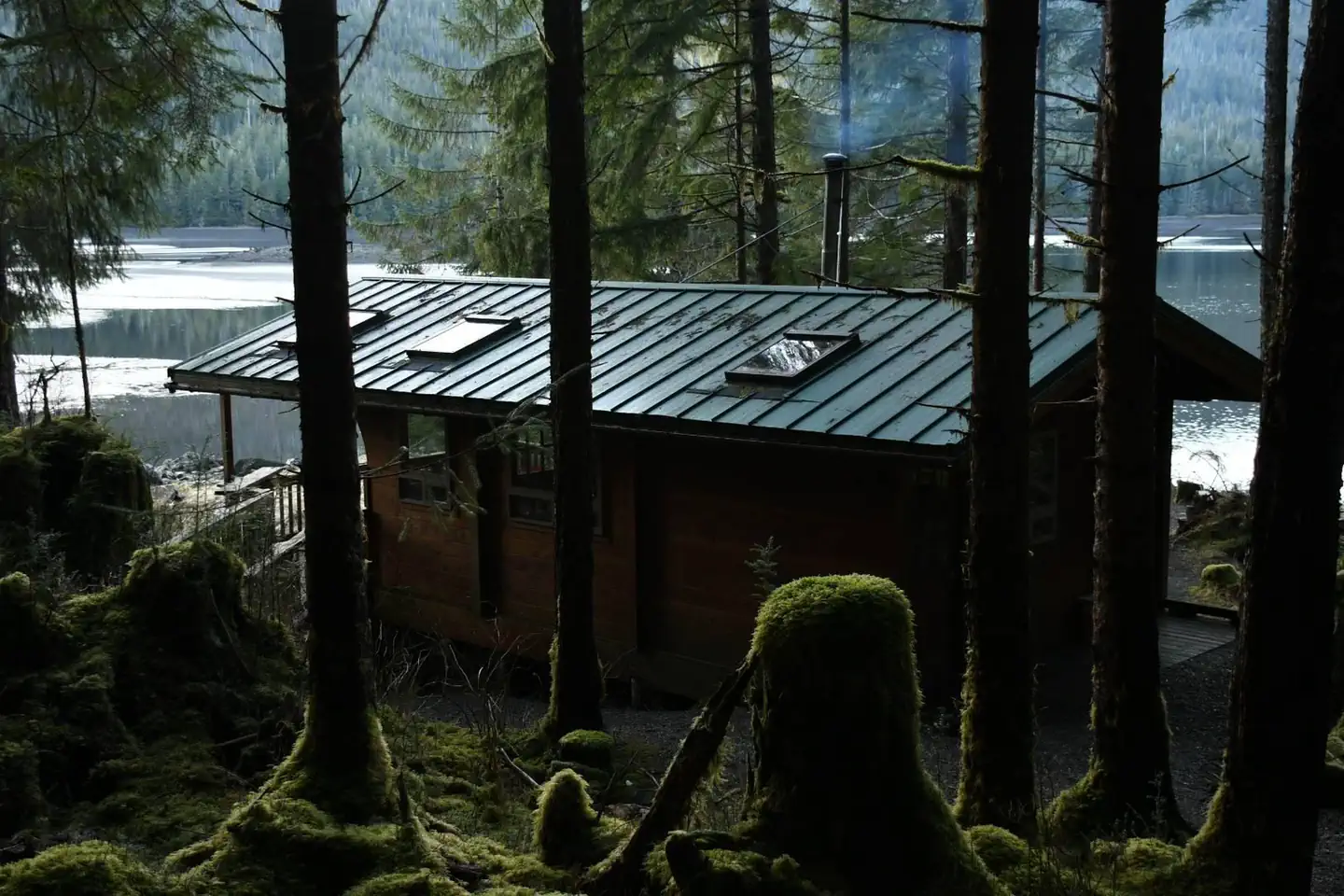 TWELVEMILE CABIN photo 4