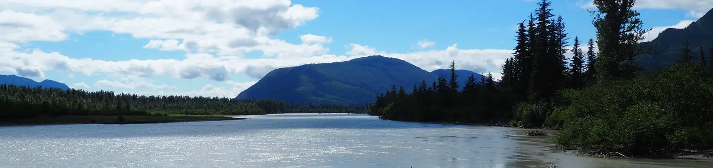 TWIN LAKES CABIN (AK) photo