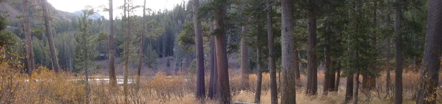 TWIN LAKES CAMPGROUND photo