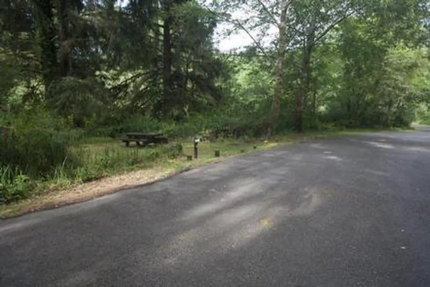 Tyee Campground - Oregon Dunes photo 2