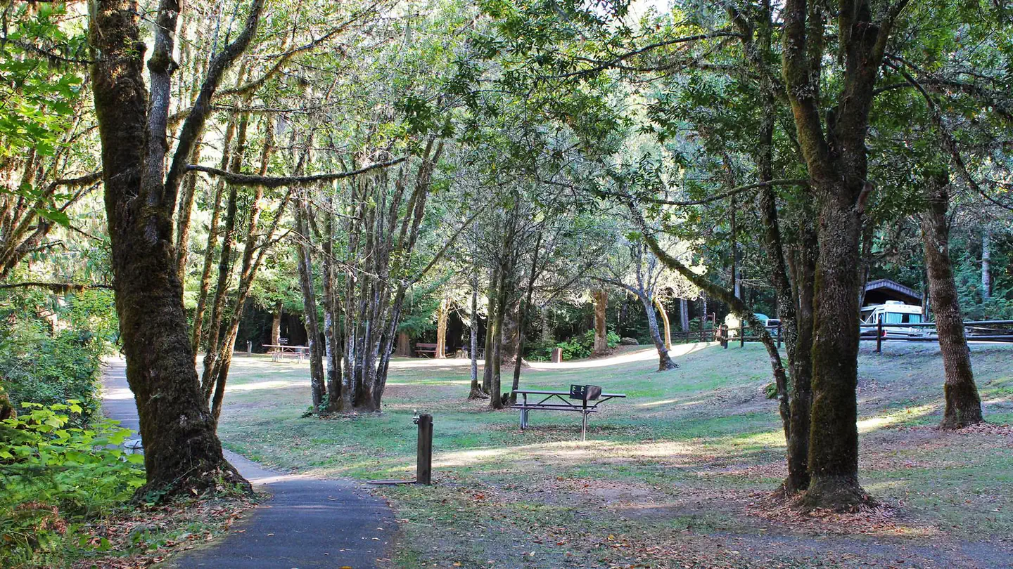 Tyee Campground - Umpqua River photo