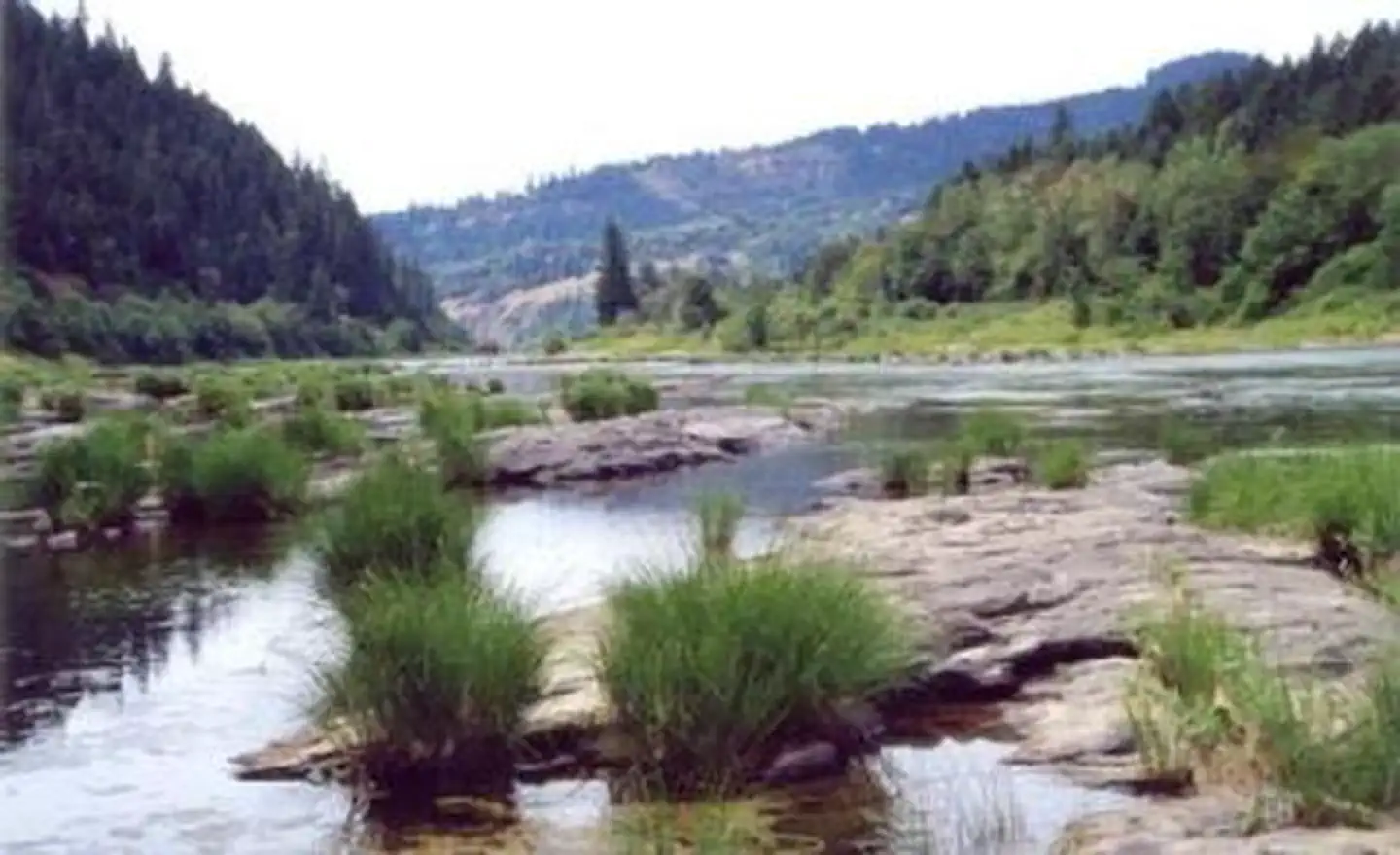 Tyee Campground - Umpqua River photo 2