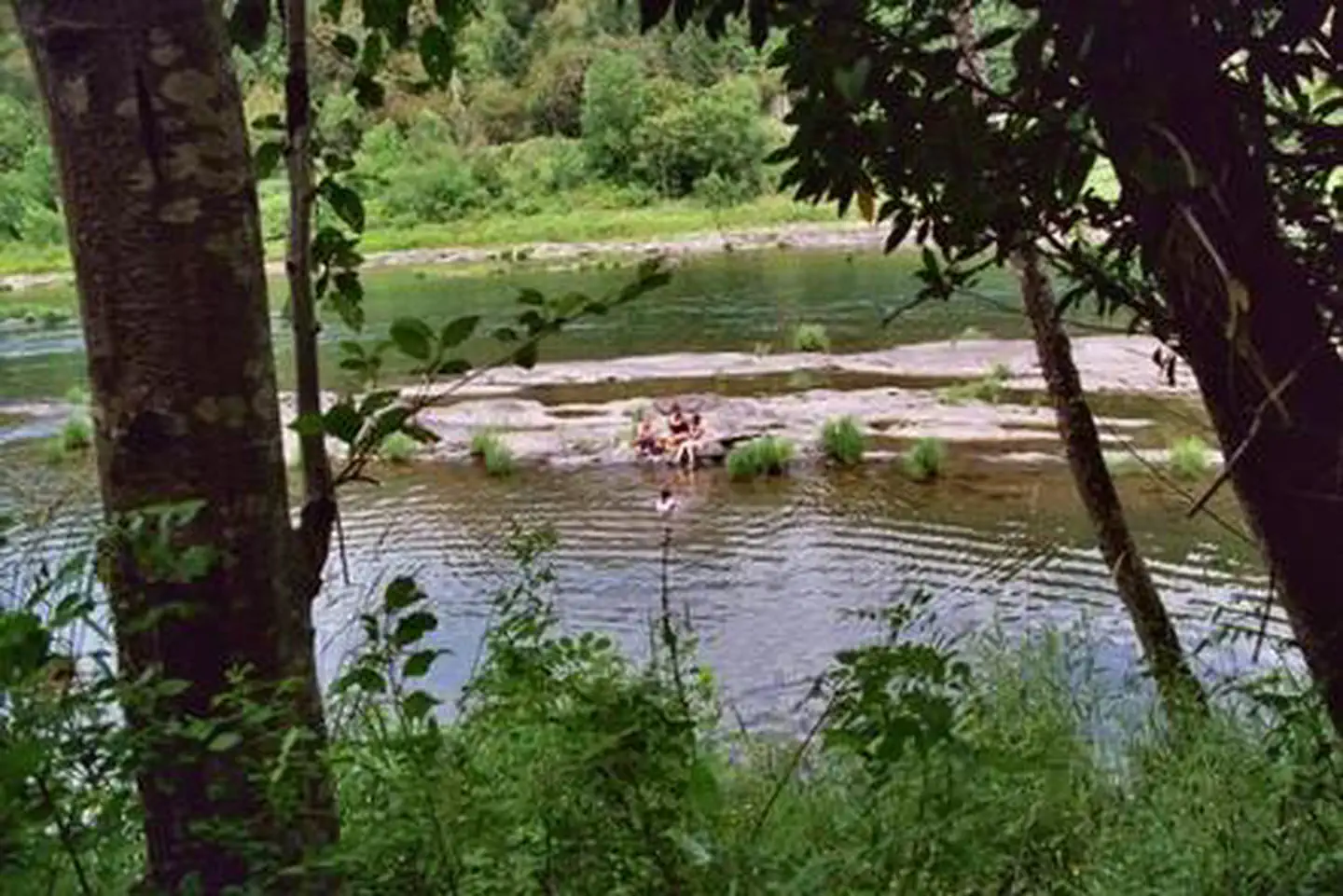 Tyee Campground - Umpqua River photo 5