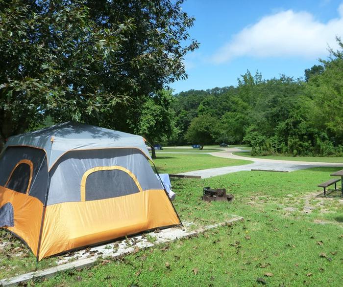 TYLER BEND CAMPGROUND photo 2