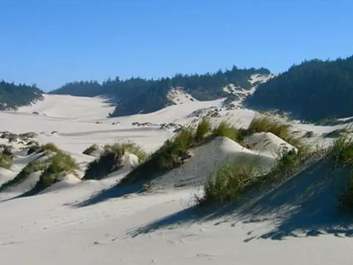 UMPQUA SAND CAMPING photo