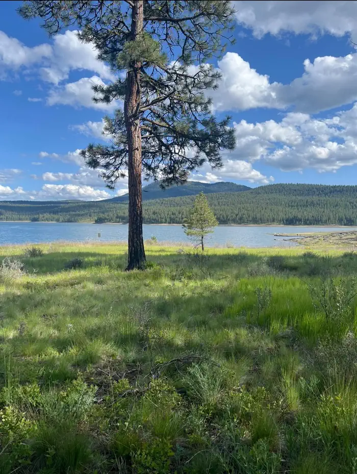 UNION CREEK CAMPGROUND photo 3