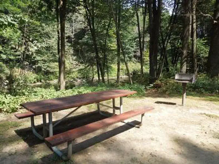 UNION VILLAGE DAM PICNIC AREA (VT) photo 3