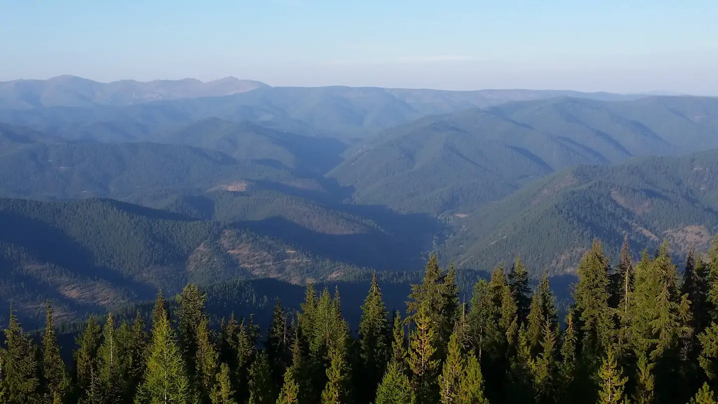 UP UP LOOKOUT photo