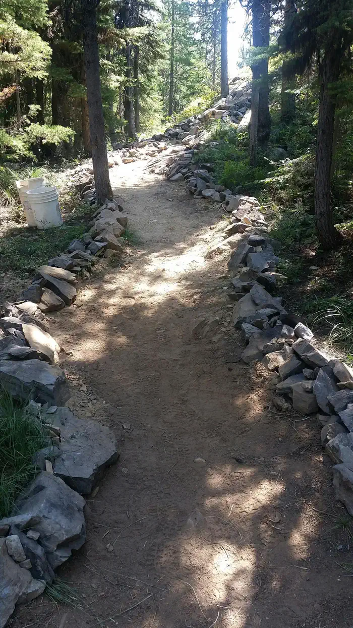 UP UP LOOKOUT photo 5
