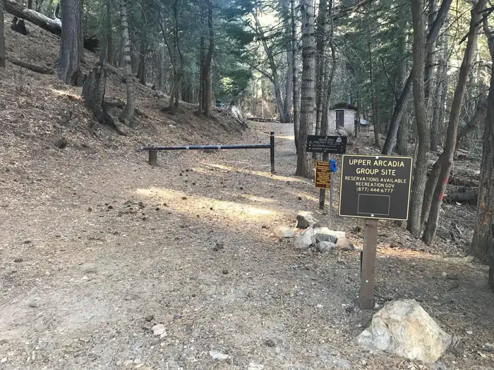 UPPER ARCADIA photo 3