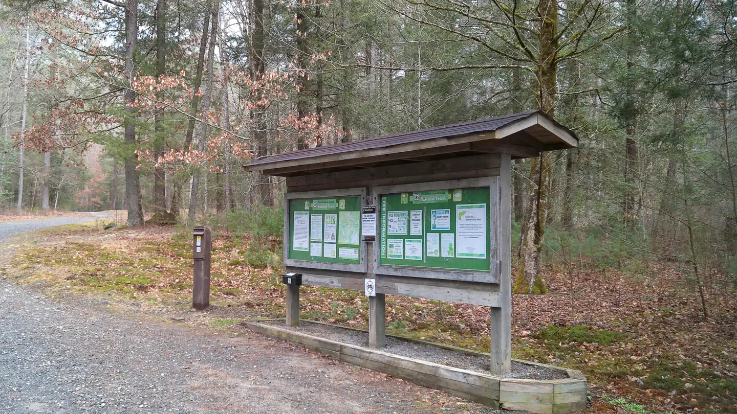 Upper Chattahoochee River Campground photo