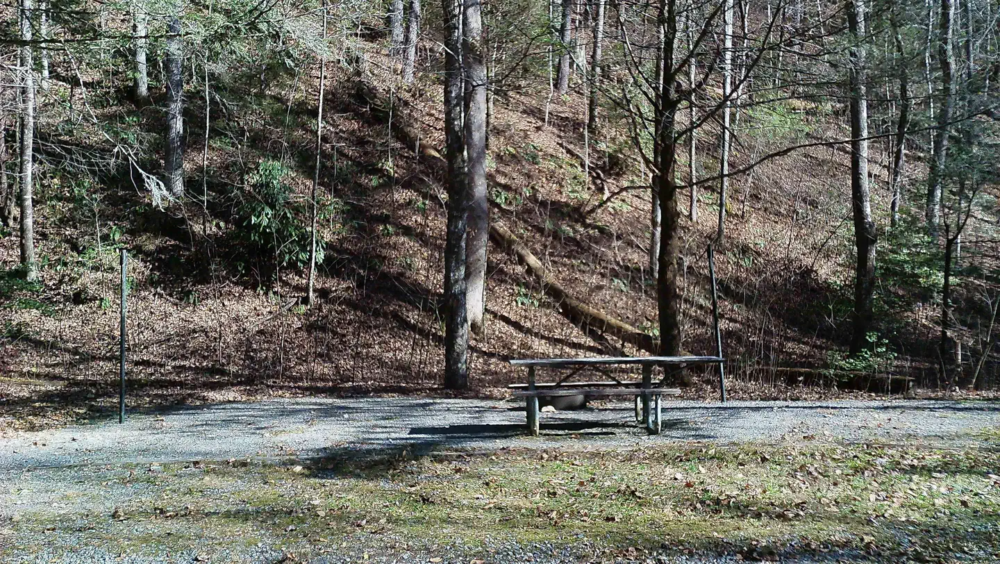 Upper Chattahoochee River Campground photo 2