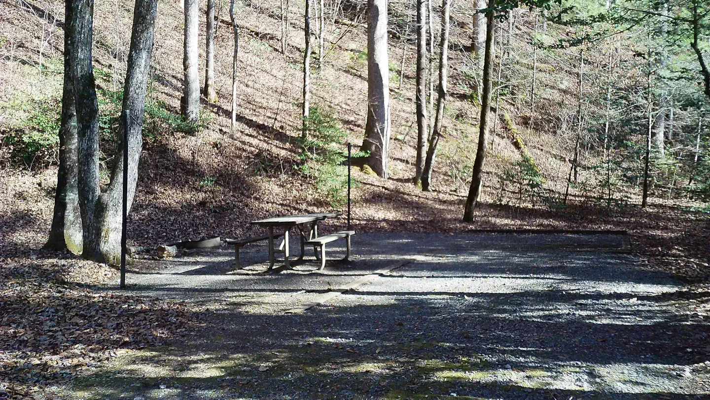 Upper Chattahoochee River Campground photo 3