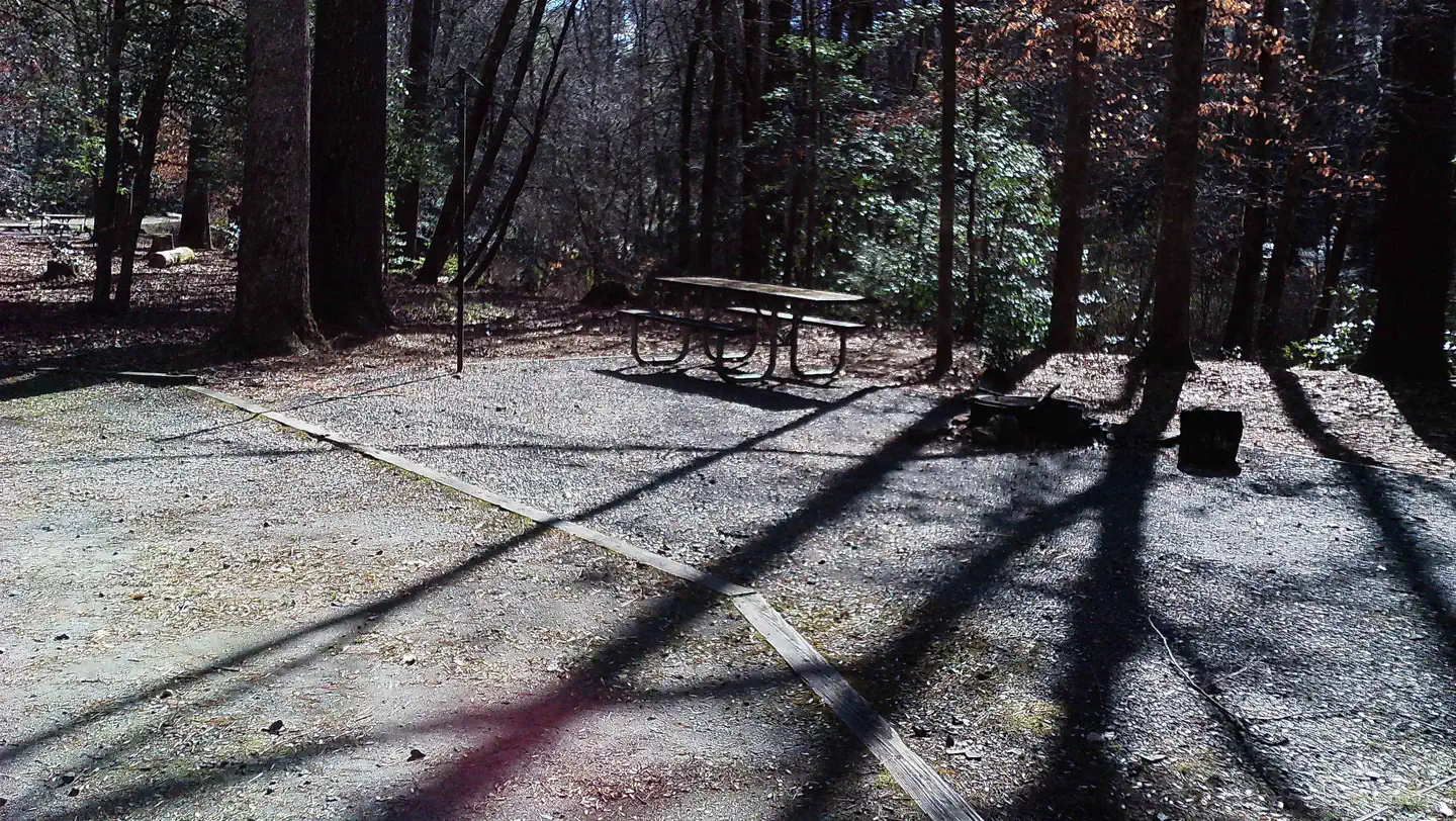 Upper Chattahoochee River Campground photo 4