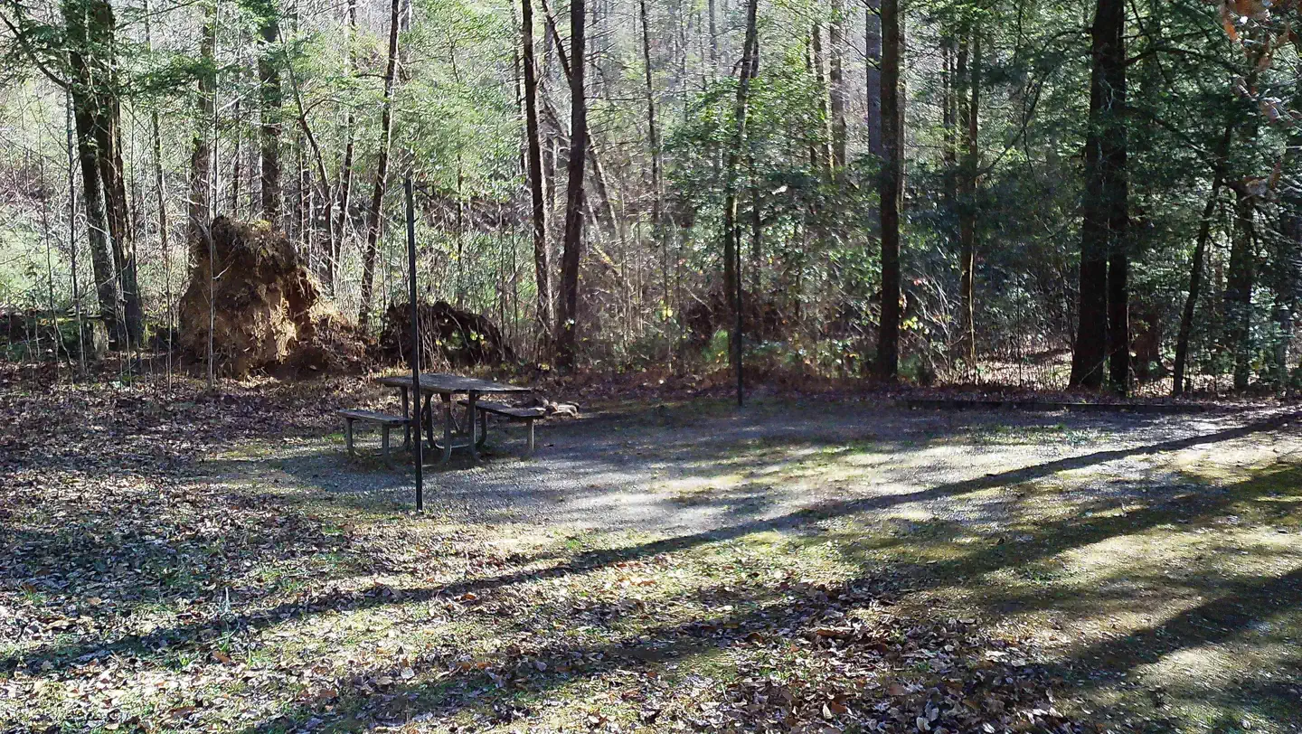 Upper Chattahoochee River Campground photo 5