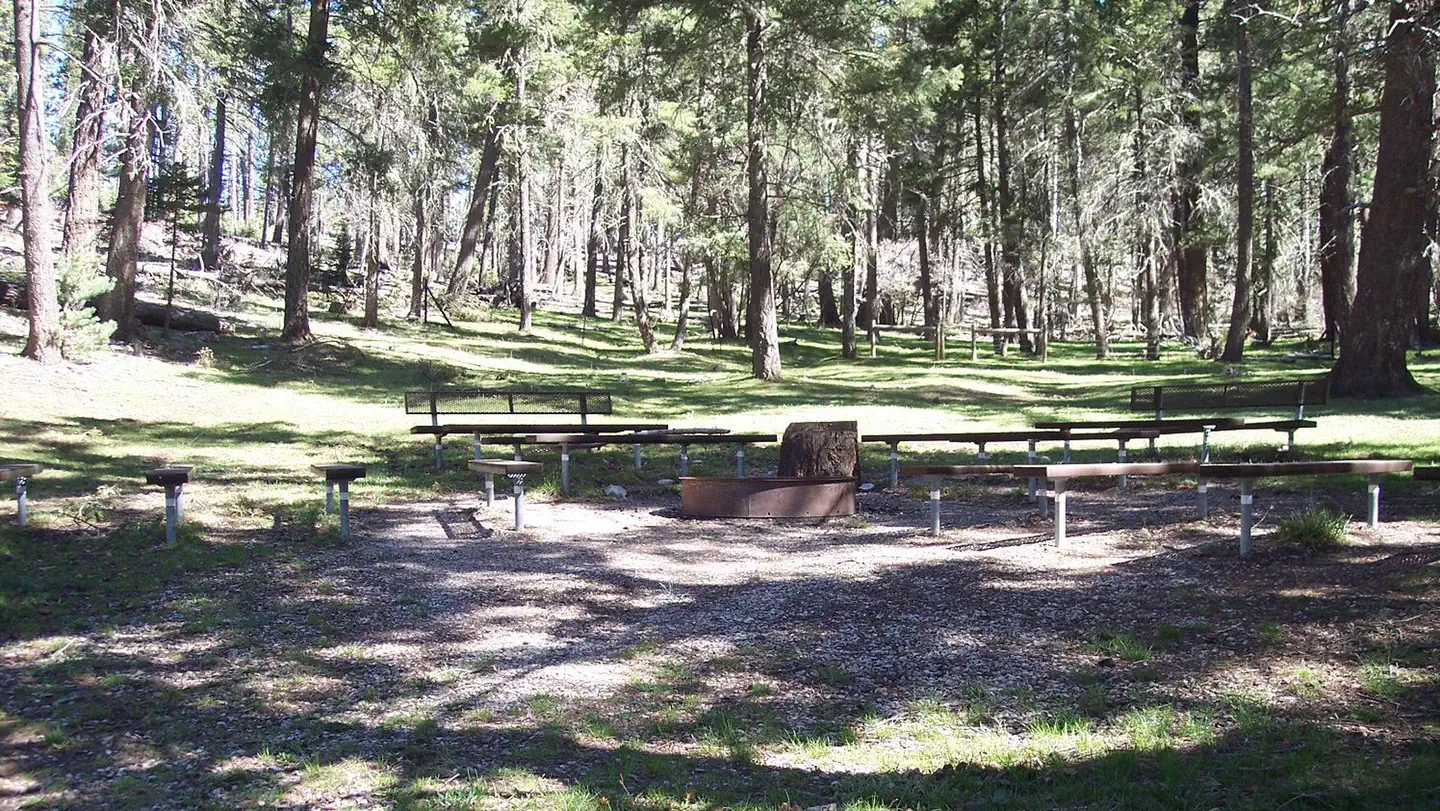 UPPER FIR GROUP AREA photo