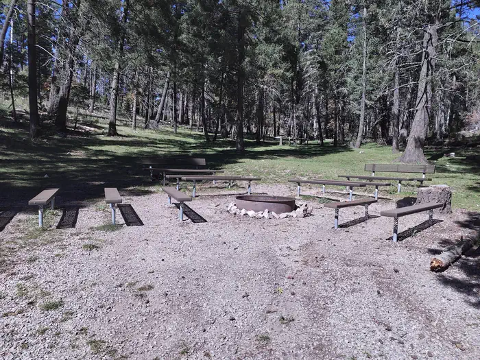 UPPER FIR GROUP AREA photo 2