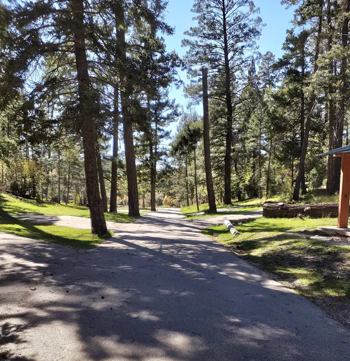 UPPER FIR GROUP AREA photo 3