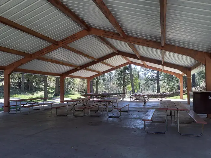UPPER FIR GROUP AREA photo 4