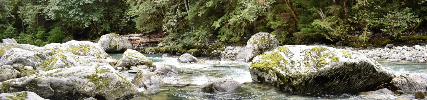 UPPER GOODELL GROUP CAMPGROUND photo
