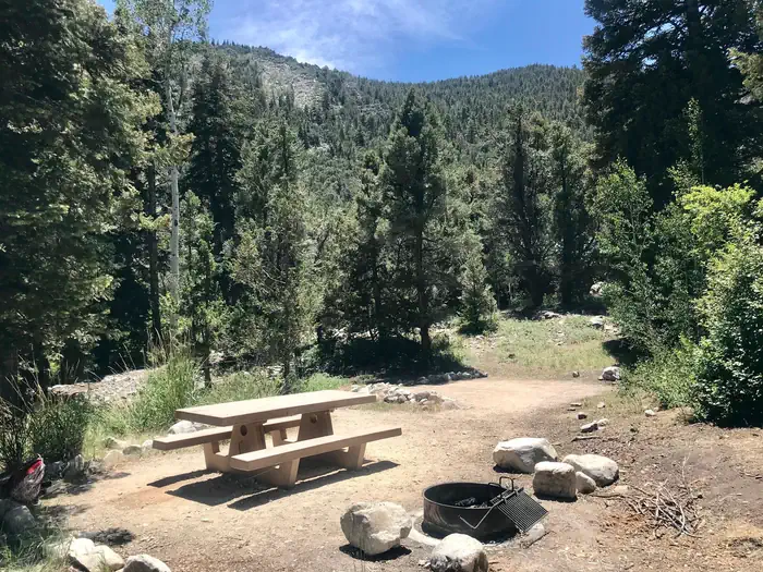Upper Lehman Creek Campground photo 4