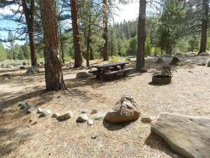 UPPER LITTLE TRUCKEE photo