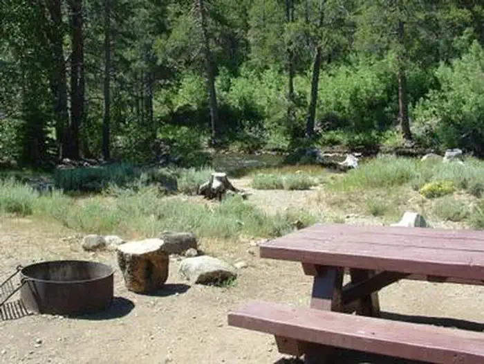 UPPER LITTLE TRUCKEE photo 5