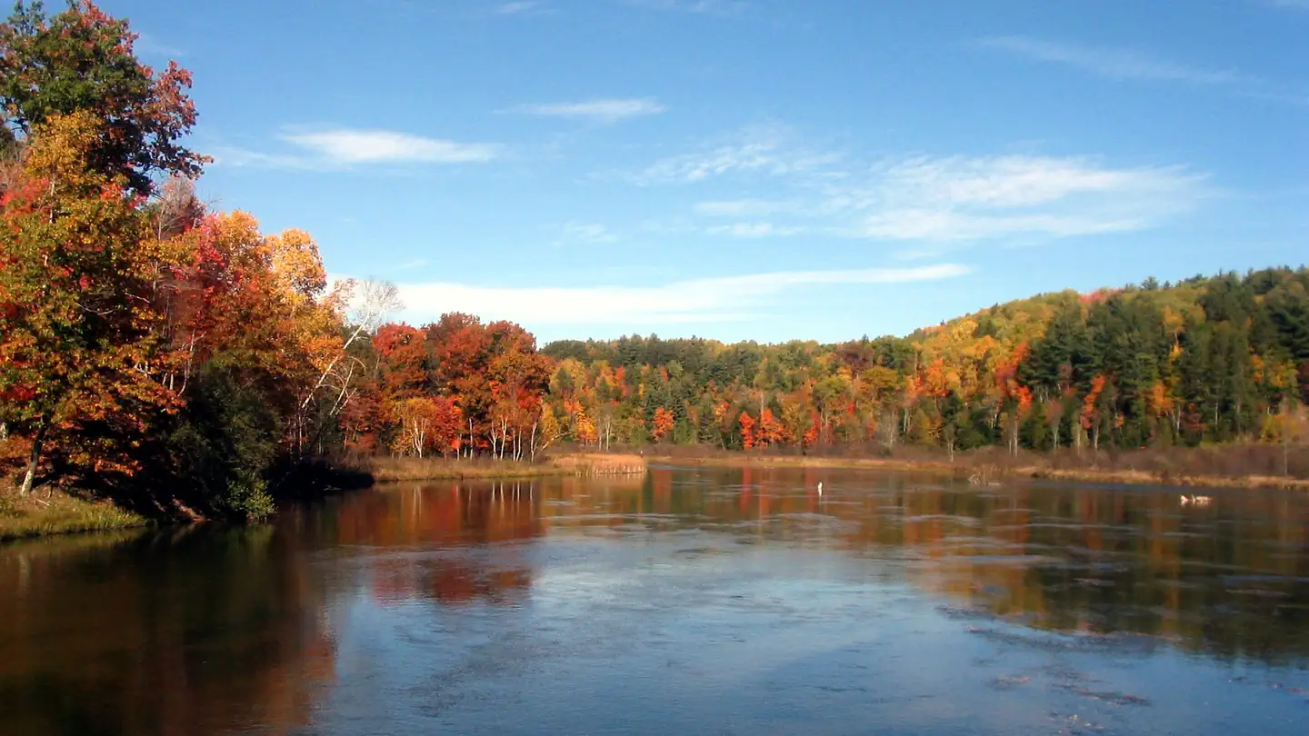 Upper Manistee River Backcountry Campsites photo