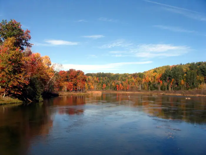 Upper Manistee River Backcountry Campsites photo 2