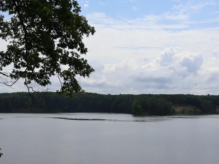 Upper Manistee River Backcountry Campsites photo 3
