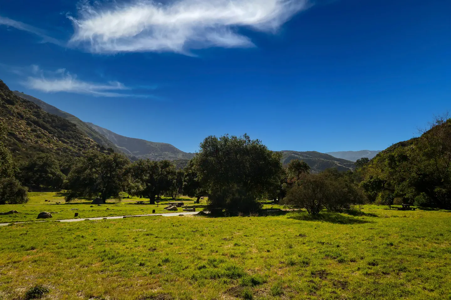 UPPER OSO CAMPGROUND photo 4
