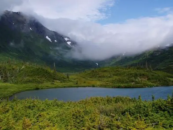 UPPER PARADISE LAKE CABIN photo 5